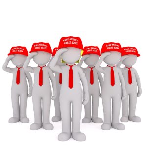 MAGA Republican Lawmakers caricature